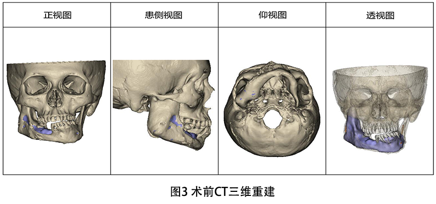 未标题-1.jpg