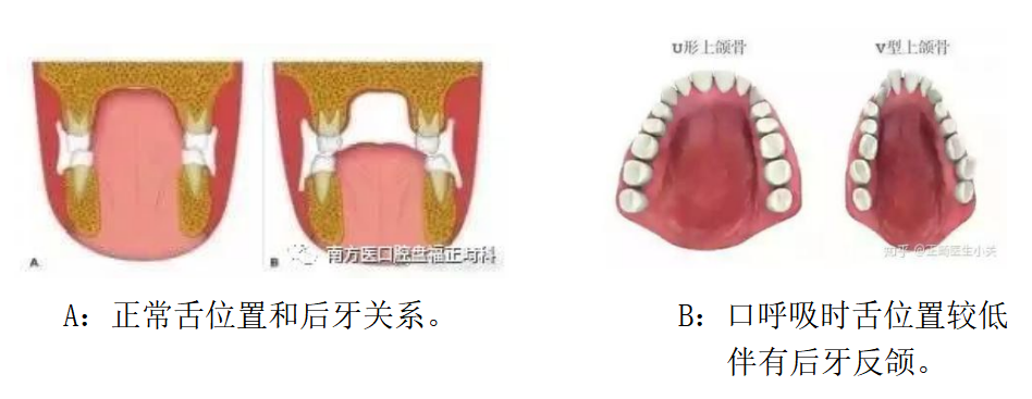 1688365139297368.png