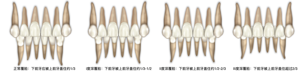 1701663756256137.png